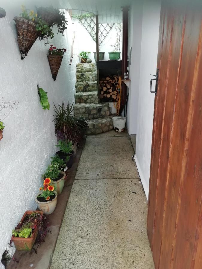 Clearview Cottage 圣奥斯特尔 外观 照片